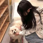 方阵英雄私服下载
